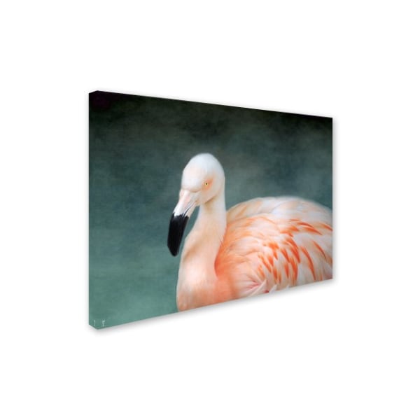Jai Johnson 'Pink Flamingo 3' Canvas Art,24x32